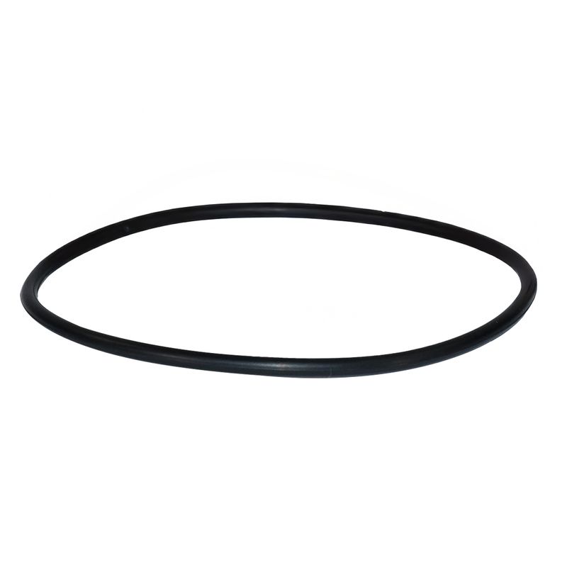 anel-do-filtro-rotativo-scania-111-112-113