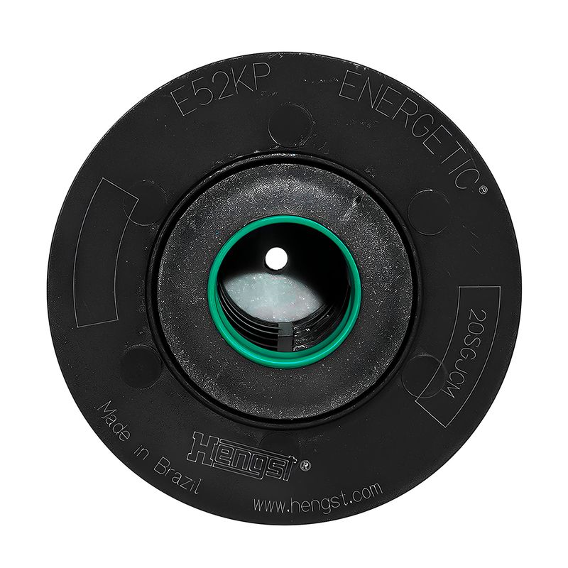 elemento-do-filtro-do-combustivel-do-cartucho