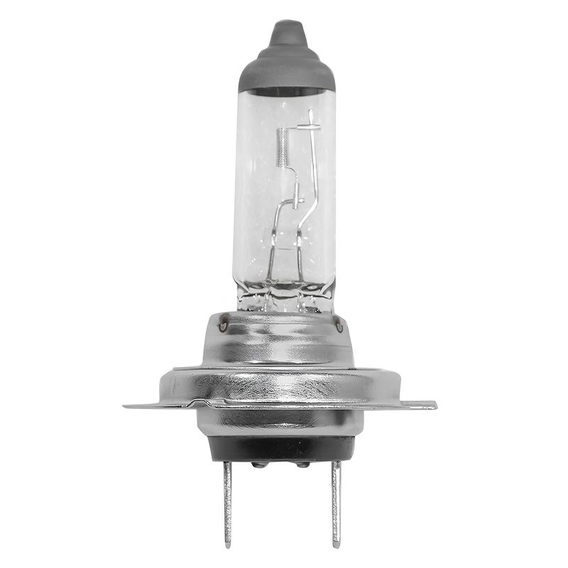 lampada-halogena-h76-12-55w