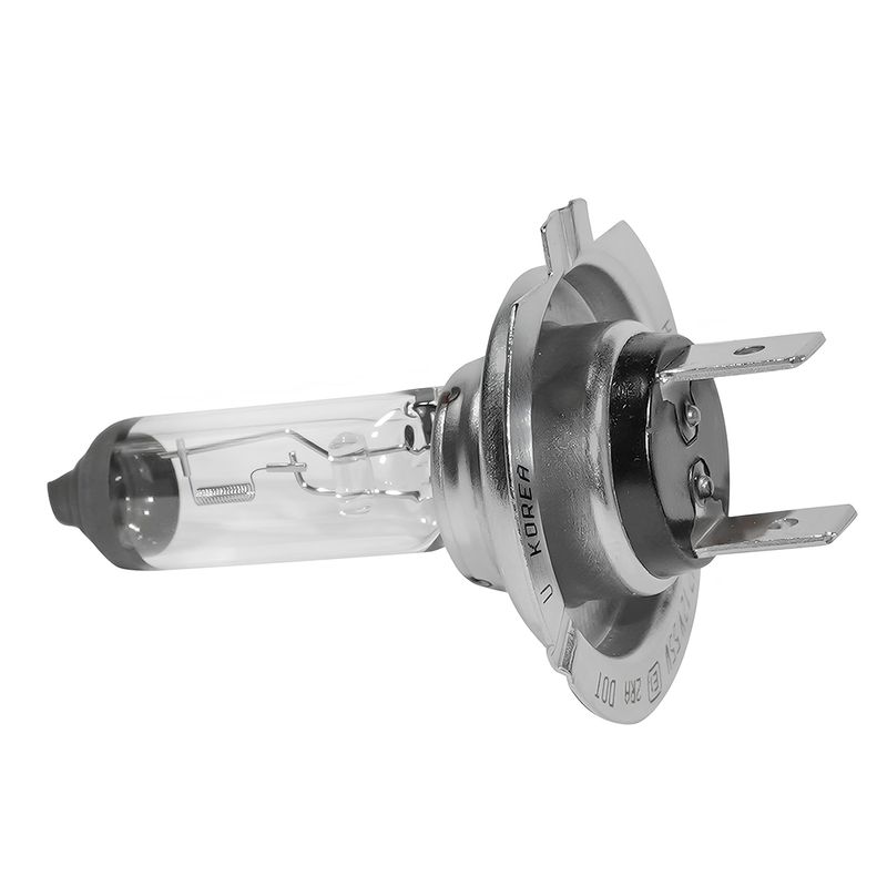lampada-halogena-h76-12-55w