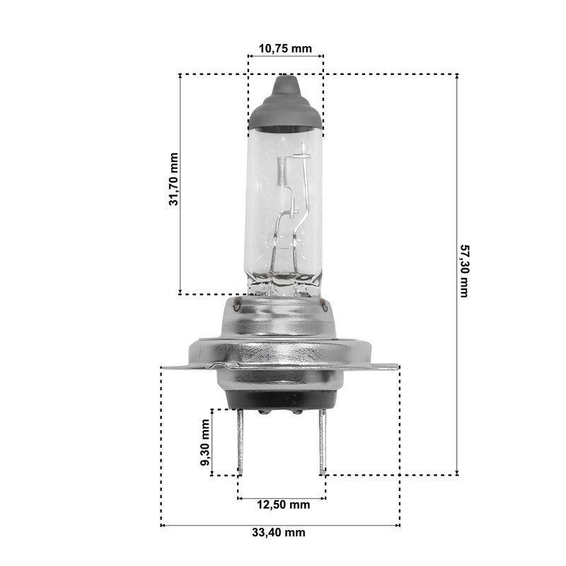 lampada-halogena-h76-12-55w