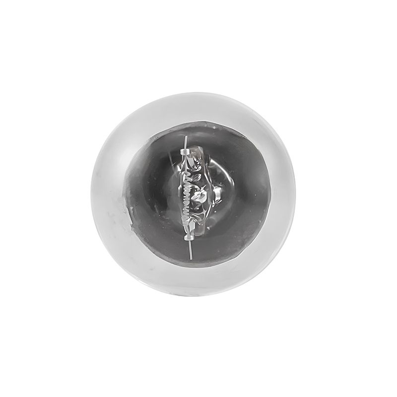 lampada-1-polo-de-24v-21w