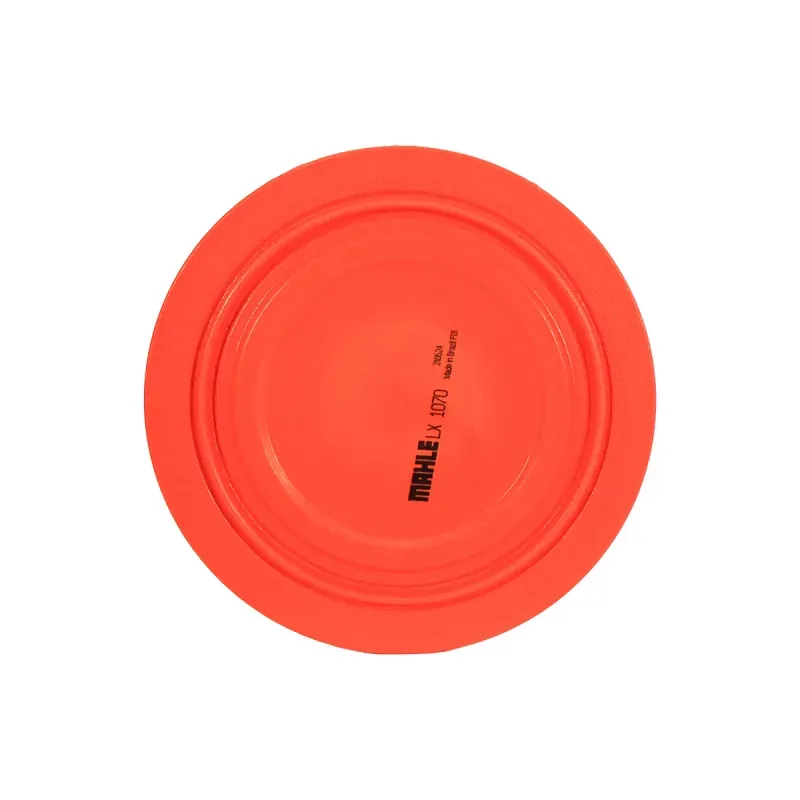 Elemento Filtro Ar FTLX01070-00009121-1779973110527